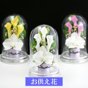 V~ ~ vU[uht[   Ӓ R`E @   dp uU[ht[  r͂ d d d AWg zCg CG[ 