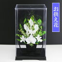 新盆 初盆 プリザーブドフラワー 仏花 法事 お供え花 仏壇用 ブリザードフラワー お花 お悔やみ お供え 喪中 弔電 電報 仏壇 命日 ホワイト 胡蝶蘭 コチョウラン アジサイ カスミソウ アートフォーシーズン あす楽 送料無料 【1号 サイズ▲ 胡蝶蘭 カラー クリアケース付】