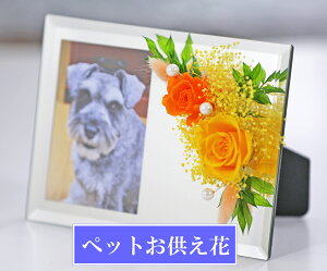 ybg  ̂  L ʐ^  ~[ tHgX^h dp vU[uht[  @   uU[ht[ ~   V~  Ȃ 䋟 @v 