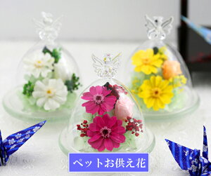 ybg  ̂  L ~j dp vU[uht[ KXh[  ~  uU[ht[ P[X @    ybg{ Ȃ ybgp  ˂ 