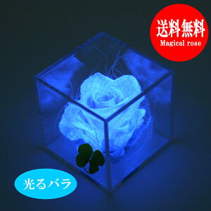 t[Mtg vU[uht[ lt̃N[o[  o 1 1{ v[g J[l[V av[g   ~j LO  ސE  Fl uU[ht[ s