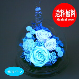 t[Mtg LOv[g av[g  v[g Mtg vU[uht[ ͂Ȃ  ސEj j LO җj uU[ht[ ~j sN p