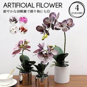  Ӓ Iׂ4F A[gt[ AW CeA R`E lHϗtA A[eBtBVt[ R`E p[c 蕨 v[g CeA Ȃ A