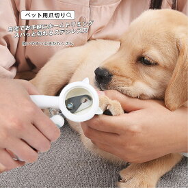 ペット用爪切り ペット用爪切りハサミ 爪やすり 爪切り爪やすりセット 犬 猫 お手入れ用品 つめ切り ヤスリ ネイルケア ペットネイルケア 犬用爪切り 猫用爪切り 犬猫兼用 ステンレス製カッター ホームトリミング ホームケア メール便y
