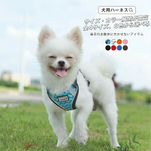 n[lX p [h U U  X^CbV ^b` xXg  Ck ^ ^ ^ xXgn[lX ˃Xeb` ˃e[v TCYWJLx J[WJLx S8