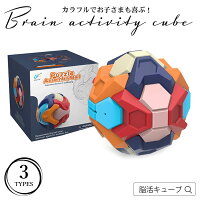 脳活キューブ 脳力パズル 組み立て玩具 球体ブロック 知育玩具 教育玩具 知の贈り物 お誕生日 入園祝い プレゼント パパママが喜ぶ 遊んで脳活 貯金箱 カラフル 大きめパーツ 大 小 球体 コンパクト