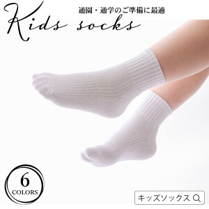 XN[\bNX  Rbg  D  F5Zbg 10-21cm t  H Z q̊wZp ۈ牀p ctp  w jq q C N[ _炩v ɂ tH[