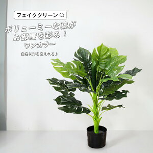 観葉植物 アジアン Ct触媒の人気商品 通販 価格比較 価格 Com 観葉植物 アジアン Ct触媒の人気商品 通販 価格比較 価格 Com