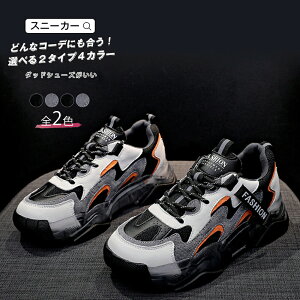 �X�j�[�J�[ �{�A�t�� �_�b�h�X�j�[�J�[ �X�j�[�J�[ ���f�B�[�X ���� �X�|�[�c ������� ���ꂢ�� �J�W���A�� �y�� �O���[ �� ��� ��l �V���[�Y ���b�V�� �C���q�[�� ���r �_�b�h�V���[�Y 