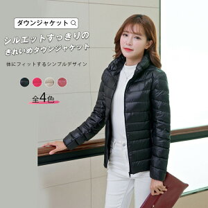 _EWPbg _E WPbg ꂢ ~AE^[  h X ؚ V[g ӂ  i g  h  tBbg X^CAbv L