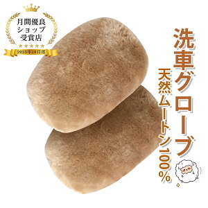 yԌP5{zԗp[gO[u 2ZbgyI[XgAY[g100%zԃO[u Vv[ԃbv ԐEl̂ h~ ӂӂ 唻TCY 蕨