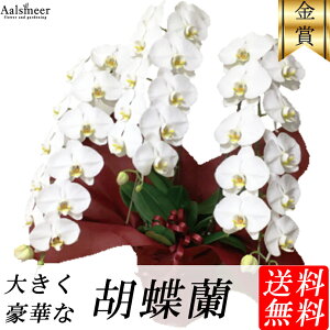 Ӓ 3{ 15000~ 20000~ 30000~  bsO j JXj JƏj ړ]j i JX J ړ] nLO I[v