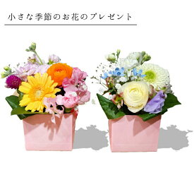 1000円 ギフト 花 プチアレンジメント プチギフト ペット お供え 花 誕生日 女性 女性用プレゼント ピンク パープル 花ギフト アレンジメント ボックス お祝い 開店祝い 開業祝い 移転祝い 昇進 就任 還暦 ギフト お花の プレゼント