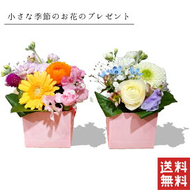 楽天市場 1000円 送料無料 花 観葉植物 花 ガーデン Diy の通販