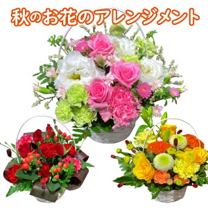 G߂̂ AWg Mtg IׂF a H  AWg AW IׂF bsO j a JƏj ړ]j@i@AC@җ@Mtg 