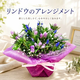 花 リンドウ りんどう 竜胆花 秋 敬老の日アレンジメント アレンジ ラッピング無料 お祝い 誕生日 開業祝い 移転祝い 昇進 就任 還暦 ギフト プレゼント お花のプレゼント