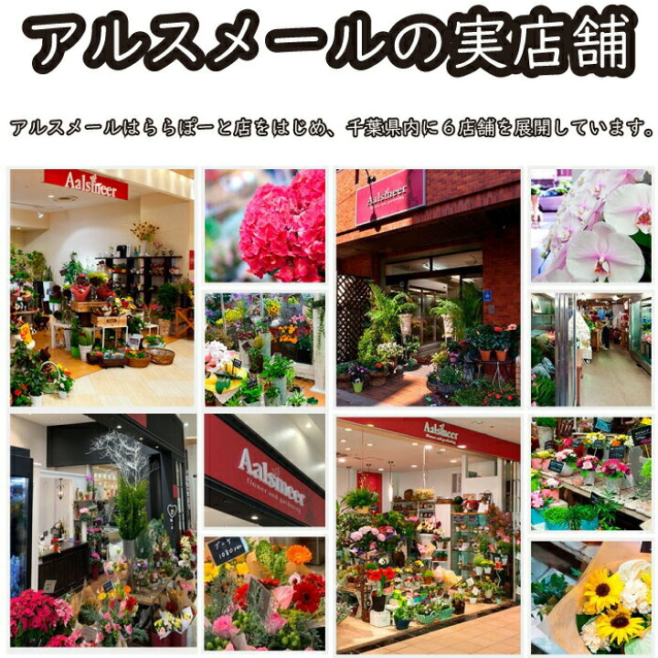 楽天市場 父の日 ひまわり 花束 生花 誕生日プレゼント 女性 母 祖母 義母 女友達 男性 父 花 誕生日 お祝い フラワー ギフト お誕生日 お花 祝い 還暦祝い 誕生日ギフト 送別 昇進 フラワーアルスメール lsmeer