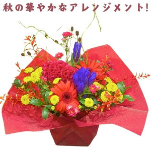 H̉ H   Mtg v[g AW Mtg FIׂ  AWg  Mtg v[g  60 70 80 c c