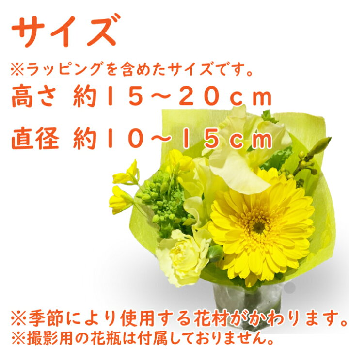 楽天市場 ミニブーケ 生花 送料無料 卒園 卒業 切り花 卒業式 あす楽対応商品 あす楽 プレゼント 宅配 花 花束 誕生日 ギフト 結婚記念日 切花 長持ち 自宅用 ブーケ お花 手作り生花 お供え 花束プレゼント 花束用 袋 お悔やみ 犬 フラワーアルスメール lsmeer 楽天市場 ミニブーケ 生花 送料無料 卒園 卒業 切り花 卒業式 あす楽対応商品 あす楽 プレゼント 宅配 花 花束 誕生日 ギフト 結婚記念日 切花 長持ち 自宅用 ブーケ お花 手作り生花 お供え 花束プレゼント 花束用 袋 お悔やみ 犬 フラワーアルスメール lsmeer