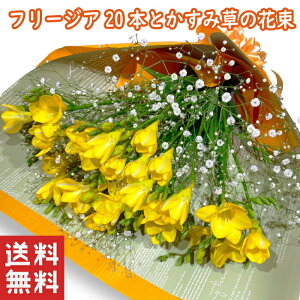 t[WA  ԑ ؂ t[WA  10{ 20{ t[WA u[Pa  Mtg w    t[WAԑ a Əj } Əjԑ Əj 