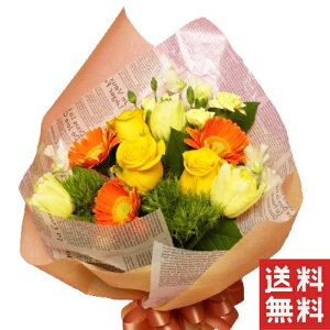 F IWn u[P ԑ j a j oYj JXj LO  \ G߂̂ Ԃv[g l o^C zCgf[ ސEj wjȂ 