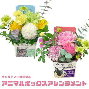 ybg   L `eB[ Aj} hl[V  j a  AWg Mtg  Aj}Ehl[V