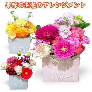  Mtg  ~jAWg AW 2000~ ~jMtg  \ t    i a  pv[g sN p[v ԃMtg t[ AWg