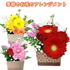  Mtg  ~jAWg 1500~ ~jMtg  AW 2000~    i a  pv[g sN p[v ԃMtg t[ AWg {bN