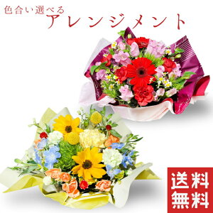 ẴAWg Ђ܂ q}  AW o[Xf[t[ aԁ@ԃu[P av[g   c ` FB j   a j t[ Mtg 