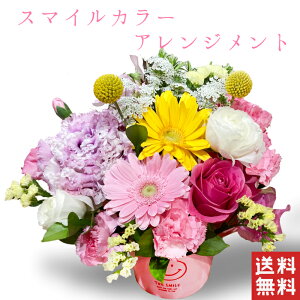ガーベラ 花束 プレゼントの人気商品 通販 価格比較 価格 Com