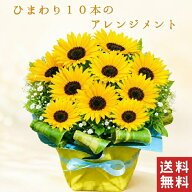 ひまわり 10本 花束 父の日 花 向日葵 アレンジメント 生花 お供え お祝い プレゼント 送別 贈り物 誕生…