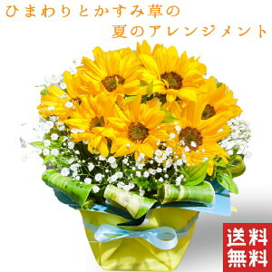 生花 ひまわり 花束の人気商品 通販 価格比較 価格 Com 生花 ひまわり 花束の人気商品 通販 価格比較 価格 Com