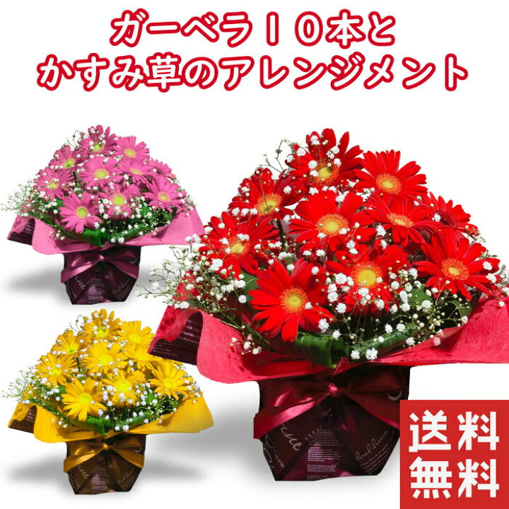 楽天市場 ガーベラ10本のアレンジメントガーベラ アレンジメント 送別 卒業 昇進 卒園 就職 成人 バースデーフラワー 誕生花を使った 誕生花の生花ブーケ 誕生日プレゼント 女性 母 祖母 義母 女友達 男性 父 花 誕生日 お祝い フラワー ギフト お誕生日 誕生日ギフト 楽天市場 ガーベラ10本のアレンジメントガーベラ アレンジメント 送別 卒業 昇進 卒園 就職 成人 バースデーフラワー 誕生花を使った 誕生花の生花ブーケ 誕生日プレゼント 女性 母 祖母 義母 女友達 男性 父 花 誕生日 お祝い フラワー ギフト お誕生日 誕生日ギフト