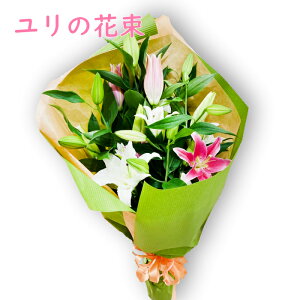 ̉ԑ  S  5{ o[Xf[t[ av[g   j   a j t[ Mtg a ԏj aMtg