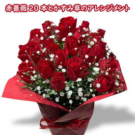 バラ 赤 薔薇 20本 アレンジメント カスミソウ バラ アレンジメント豪華 花 プレゼント 送別 卒業 昇進 卒園 就職 成人 バースデーフラワー 誕生花を使った 誕生日プレゼント 女性 母 祖母 義母 女友達 男性 父 花 誕生日 お祝い フラワー ギフト お誕生日 お花祝い