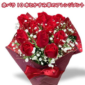 ԃo10{ KN v[g AWg Ԃ KN AWg  ԑ ݑ a v[g    ސE Əj oYj JXj v|[Y 12{ 60 \ 