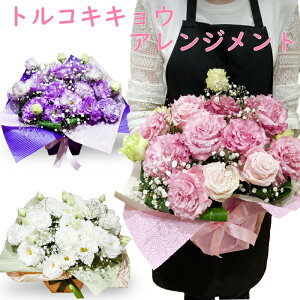 gRLLE AWg ݑ JX~ ݑ̃u[PgRo[Xf[t[ aԂg aԂ̐ԃu[P av[g   c ` j   a 