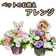 お盆 ペット お花 ペットのお供え 犬 猫　写真印刷無料 お供え お悔やみ お花 花 仏花 法事 仏事 命日 初…