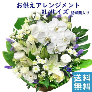 お供え 花 お悔やみ 生花 胡蝶蘭 アレンジメント 宅配 花 仏花 生花 お供え 一周忌 を 贈る 送料 無料 フラワーギフト お悔やみ 枕花 お悔やみ・お供え お悔み・お供え 正月 一 周忌 お花 アレ