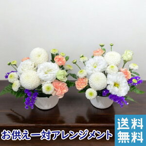  Ԉ 荠 RpNg d   1 V~ AWg z          t[Mtg      