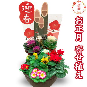 񂹐A  2024 N̗ǂ A tO 񂹐A  ~̊A Mtg A AW  Ε 叼Ƃ   