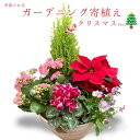 季節の寄植え 鉢 ガーデニング クリスマス ポインセチア シクラメン 花 鉢植え ギフト 秋 おしゃれ 誕生日 プレゼント 母 祖母 女性 お花 お誕生日 結婚祝い 新築祝い 友人 結婚記念日 妻 両親 開店祝い 開業祝い 退職祝い 送料無料