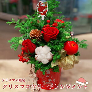 NX}XAWg c[ NX}Xc[ Ԍ ԃo ޏ  NX}X v[g  o   a  ސE JX I[v j Mtg bZ[WJ