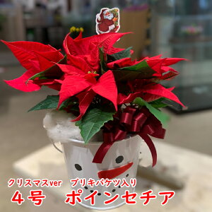 |CZ`A  ~j 4 JS Mtg vZ`A S[hNXg |CZ`A  A Mtg  4 NX}X  X  XfBXvC  Ԕ Zbg̔