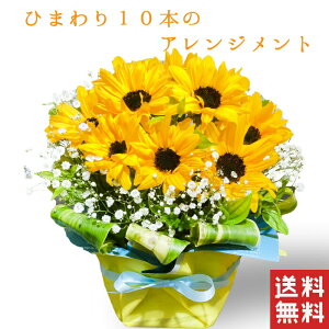 生花 ひまわり 花束の人気商品 通販 価格比較 価格 Com 生花 ひまわり 花束の人気商品 通販 価格比較 価格 Com