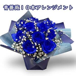 u[[Y o  KN 10{ Fn   o _  j AWg v[g u[ o[Xf[t[ av[g   j   a j t