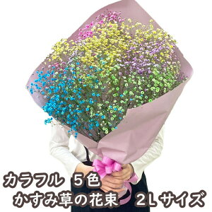 ݑ ԑ 傫 JX~\E u[P 2L ԑ Jt  C{[ JX~\Ẽu[P hCt[ɂ a a CX^f Instagram CX^O ސE  LO