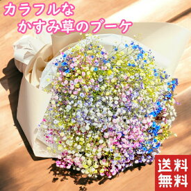 かすみ草 花束 カスミソウ ブーケ 花束 かすみ草 レインボー カスミソウのブーケ かすみそうのブーケドライフラワー 送料無料 誕生日 お誕生日 インスタ映え Instagram インスタグラム 退職 送別 記念日 誕生日 プレゼント 結婚