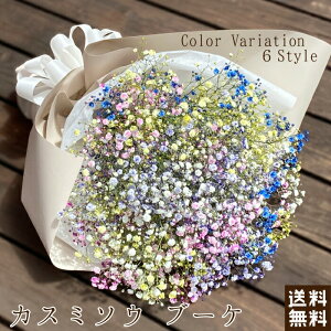 かすみ草 ブーケ ドライフラワーの人気商品 通販 価格比較 価格 Com