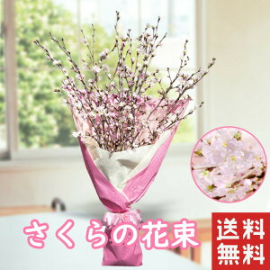 ̉ԑ  } ؂}  sakura 80cm 5{ x ԑ ̖   t Mtg TN炭  j  a v[g  c  t[Mtg ʉ ސEj N j 